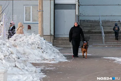 Собака в добрые руки купить на Зозу.ру