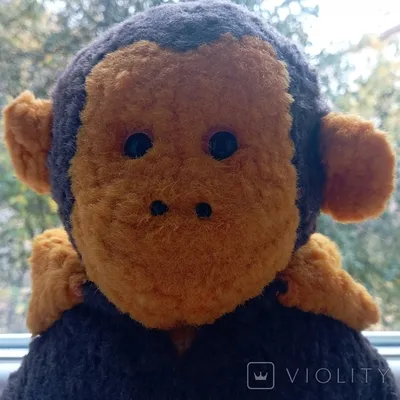 Пользователи Казнета перепутали старую мармозетку с гибридом человека и  обезьяны - Устинка Live