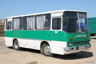Старые московские автобусы Mercedes восхитили россиян - Мослента