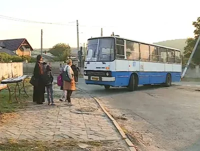 ДУМИ Бишкека выставил старые автобусы на аукцион – Новости из Кыргызстана –  АКИpress