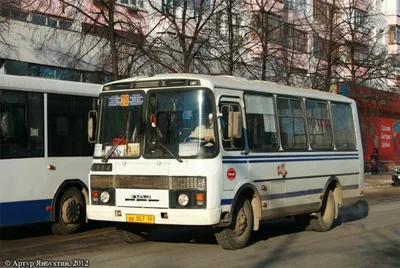 Брошенные советские автобусы (24 фото)