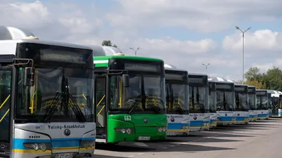 В Волгограде пройдет флешмоб за старые автобусы для перевозки детей - 14  ноября 2017 - v1.ru