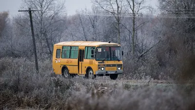 Старые московские автобусы вышли на улицы Серпухова с нарушением закона