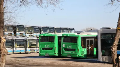 В Москве найдена парковка с сотнями старых автобусов - читайте в разделе  Новости в Журнале Авто.ру