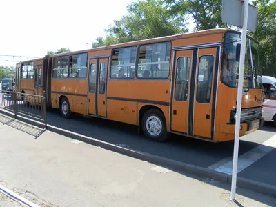 Минтранс просит оставить для школьников старые автобусы