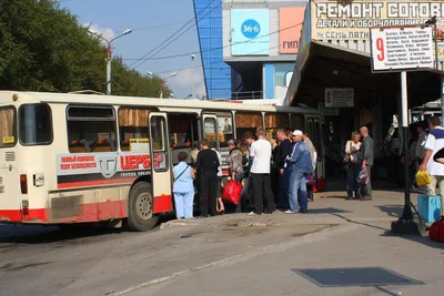 Старые автобусы из Магнитки проработают в Челябинске еще семь лет - KP.RU
