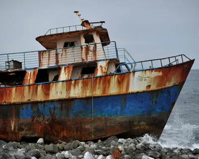 Судовладельцам, списавшим старые корабли, предлагают дать денег на новые —  РБК
