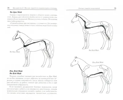 Домашние лошади, статья из Nature