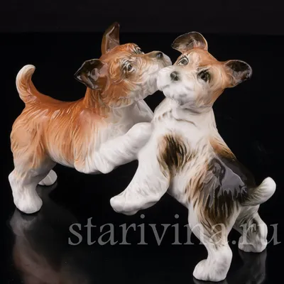 Купить фарфоровую статуэтку собак Играющие терьеры, Karl Ens, Германия,  сер. 20 в по цене 38 700 руб. - Старивина