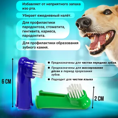 Стоматит у собак: язвенный, гнойный и другие виды, основные симптомы и  признаки, лечение