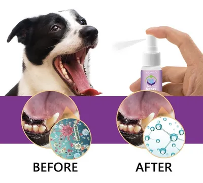 Зубная паста для собак и кошек. Зубная щетка для собак и кошек набор. -  купить с доставкой по выгодным ценам в интернет-магазине OZON (1155783255)