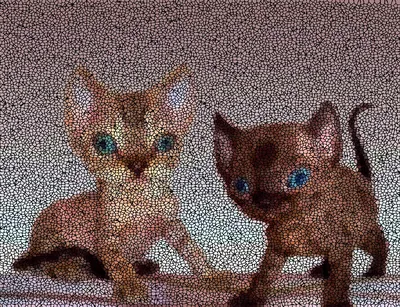 Странные коты Есении: кот добрый» — создано в Шедевруме