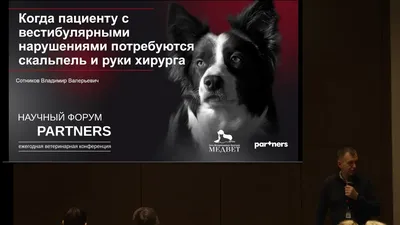 ЧУВСТВИТЕЛЬНОСТЬ К АНТИБАКТЕРИАЛЬНЫМ ПРЕПАРАТАМ ПАТОГЕННЫХ СТАФИЛОКОККОВ И  СТРЕПТОКОККОВ, ВЫДЕЛЕННЫХ ОТ БОЛЬНЫХ СОБАК – тема научной статьи по  ветеринарным наукам читайте бесплатно текст научно-исследовательской работы  в электронной библиотеке КиберЛенинка