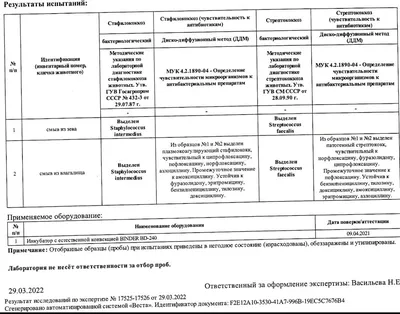 В Огайо - всплеск таинственной детской пневмонии: ее связывают с Китаем -  ForumDaily