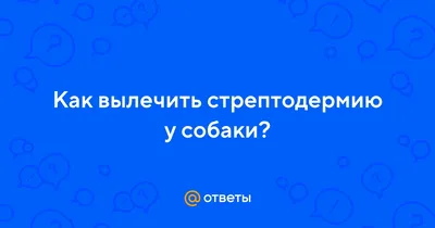 Biotestlab - А ВЫ СЛЕДИТЕ ЗА ГИГИЕНОЙ ДОМА? Если в доме живёт животное, то  последствия его присутствия всегда есть. Это может быть и запах, и шерсть,  наличие туалетов для животных, возможные инфекции.