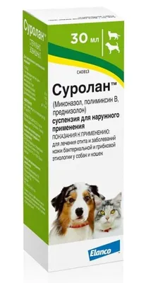 ProVET Профилайн для собак МИНИ КОМПЛЕКС для мелких пород купить в Украине  | Зоомагазин Petslike.net