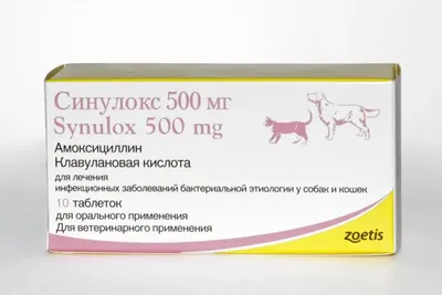 Изотик, суспензия для лечения отита у собак в Санкт-Петербурге