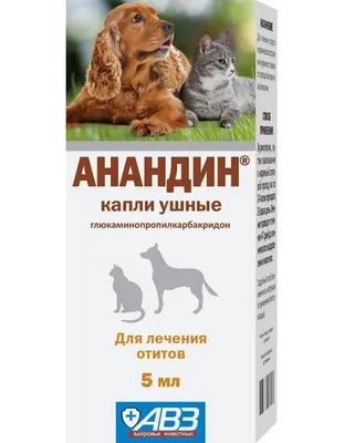 Кастрация и стерилизация собак: как и когда проводить, что делать после