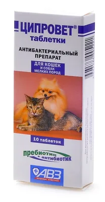 Барс Форте капли ушные для кошек и собак 20 мл - купить в Новосибирске по  цене от 386 рублей в интернет-магазине Мокрый Нос с доставкой
