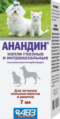 Стоп-Цистит таблетки для собак (с дротаверином) 20 таб – купить за 550 руб  | Фармавет ветеринарная аптека