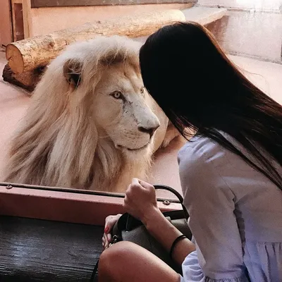 Стрижка львица на длинные волосы (57 фото)