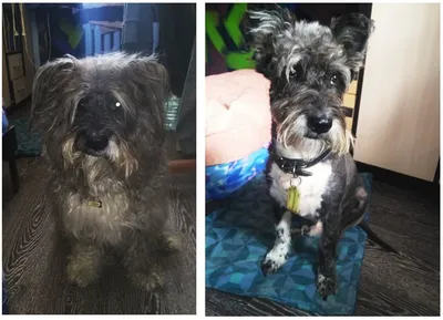 До и после | Пикабу