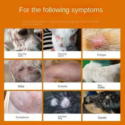 Спрей дерматит экзема для удаления шерсти у кошек и собак, 250 мл |  AliExpress