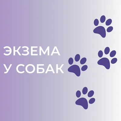 Власоеды у собак: способы лечения и профилактики | Vetera