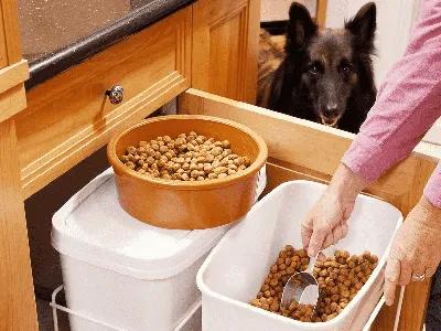 Zoogurman BIG DOG сухой корм для собак средних и крупных пород с индейкой  10кг купить, цена в интернет-магазине \"Багира\" Симферополь, Крым