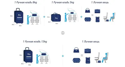 Все свое ношу с собой: правила провоза ручной клади|Dorami.com.ua