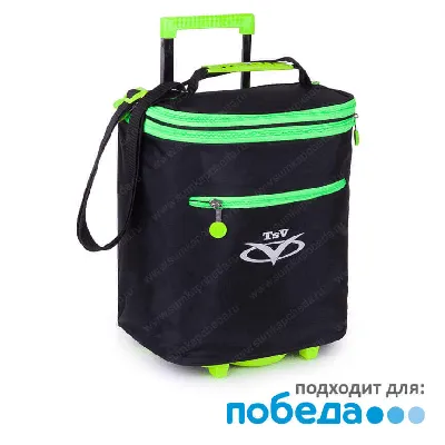 Купить чемодан на колесах в самолет победа арт. сп114 в Москве с бесплатной  доставкой в интернет-магазине Сумка Победа