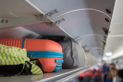 Условия и нормы перевозки ручной клади в Turkish Airlines | PEGASUS.RU |  Авиабилеты на популярные направления | Дзен