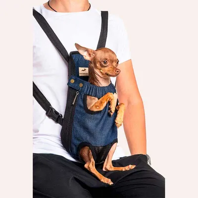 Переноска-рюкзак для собак Trixie Savina с креплением на груди, купить в  интернет-магазине Филя с быстрой доставкой в Санкт-Петербурге