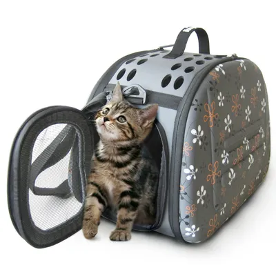 EVA Складная сумка-переноска для собак и кошек