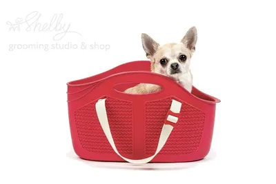 Ibiyaya складная сумка-переноска для собак и кошек до 6 кг серая в цветочек  СКИДКА 35% – купить товары для домашних животных в интернет магазине Valta