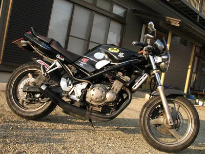 My bike, Suzuki GSF 250 ('92). The little Bandit. : r/motorcycles