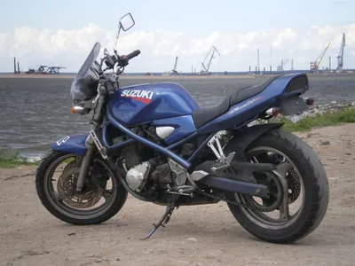 Suzuki Bandit Buyers Guide — Multi-purpose, Cheap, Awesome