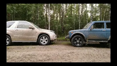 Кенгурятник Сузуки Гранд Витара 2 (защита переднего бампера Suzuki Grand  Vitara 2) - Купить защитные дуги для автомобиля в Украине | Интернет  магазин Экcпресс-тюнинг