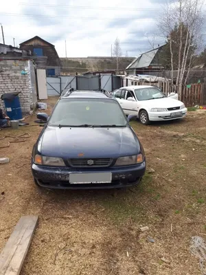 Купить б/у Suzuki Cultus III Crescent 1.5 AT (97 л.с.) бензин автомат в  Казани: серебристый Сузуки Культус III универсал 5-дверный 1997 года на  Авто.ру ID 1121235938