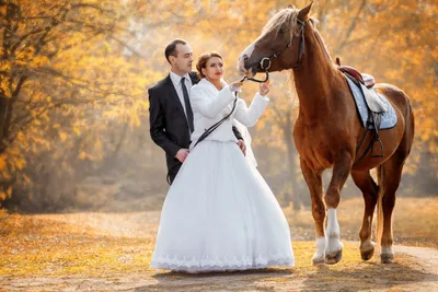 Свадьба на лошадях | Свадьба, Фотографии лошадей, Лошади