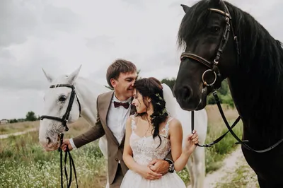 Пары свадьбы на лошадях стоковое изображение. изображение насчитывающей  женщина - 44452953