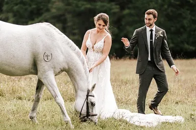 прогулка на лошадях, свадьба на лошадях, верхом на лошади, лошадь, конные  прогулки - The-wedding.ru