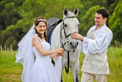 Фото с лошадьми и вид на закат: стало известно, где можно устроить отличную  загородную свадьбу - 25 сентября 2019 - e1.ru