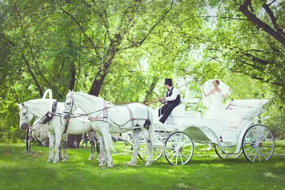 Заказ лошадей на свадьбу
