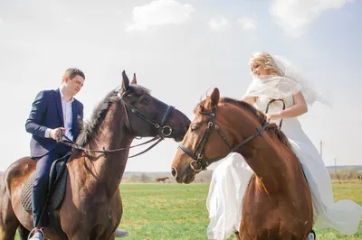 свадьба на лошадях, красивые лошади, лошадь, свадебный, свадьба на белой  тройке лошадей, Свадебный фотограф Москва