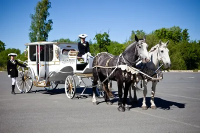 Свадьба и лошади | Конно-туристический клуб
