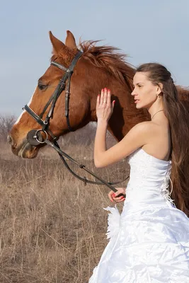 Фотосессия с лошадьми в Подмосковье - Конный клуб «Голицын»