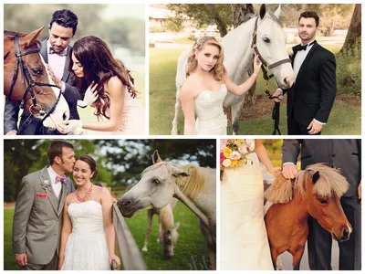 Лошади на свадьбе: идеи, как с ними можно провести свое торжество