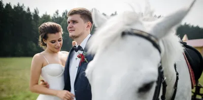 Пары свадьбы на лошадях стоковое фото. изображение насчитывающей потеха -  44420210