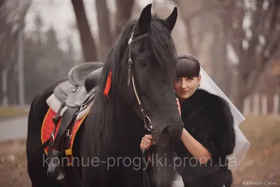 Свадебная фотосессия с лошадью | Фотосессия, Свадьба, Лошади